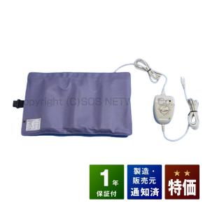 バイオレイヤーP バイオトロン 中古 特価ランク 1年保証 超短波治療器