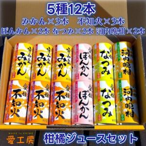 愛媛産 柑橘 ジュース 3種6本セ ット 無添加 果汁100％ みかん きよみ