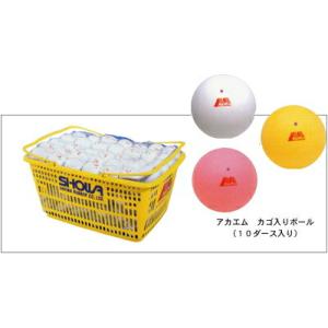 限定セール中】ソフトテニス ボール ダンロップ 4ダース 48球 新品