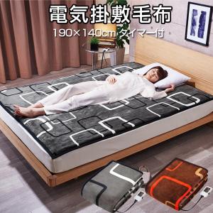 TEKNOS（テクノス） 電気掛け敷き毛布 大判 200×140cm 電気毛布