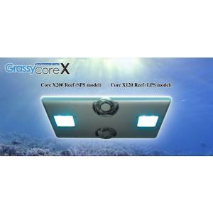 volxjapan（ボルクスジャパン） Grassy Core X200