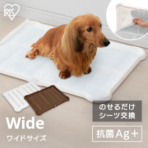 ペット用トイレ（小型犬用）実用新案登録第3243494号