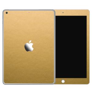 iPad 第9世代 第8世代 第7世代 第6世代 第5世代 スキンシール ケース