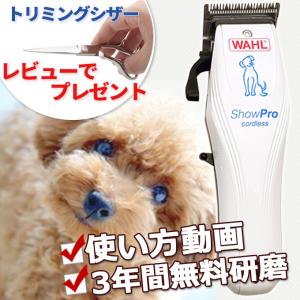 WAHL（ウォール） WAHL Bravura ブラビューラ ターコイズ バリカン 犬