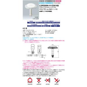 岩崎電気 岩崎 H1CC2A(B)352 (H1CC2AB352) 安定器 200V 100W 一般