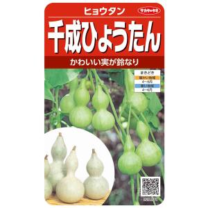 サカタのタネ（サカタノタネ） ひょうたん 千成ひょうたん 約40粒 （株