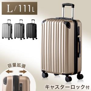 スーツケース 機内持ち込み 超軽量 小型 Sサイズ 40L 拡張 キャリー