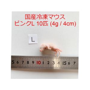 国産 冷凍マウス ファジー 10匹 6g 5cm ショップザ・パーン : ショップ