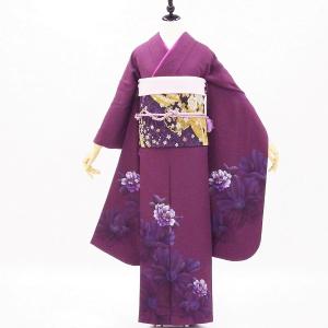 正絹振袖+半衿付き長襦袢+帯+帯揚+帯〆+重衿 6点セット 大人かわいい