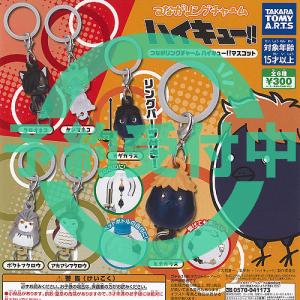 ハイキュー 高校モチーフ ピンバッジ 2 宮城県編 全10種+ディスプレイ
