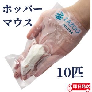 ZAZOO 国産 冷凍マウス ファジーマウス L 8〜10g 約5.5cm 真空 個別
