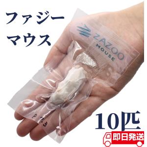 ZAZOO 国産 冷凍マウス アダルトLL 35g〜40g 9.5cm 真空 個別包装