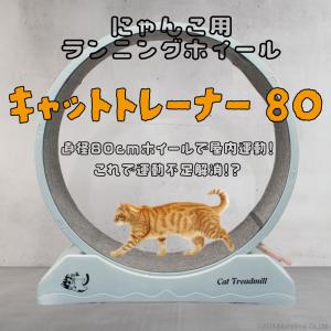 キャットホイール B-blast 返品種別B : Joshin web - 通販 - Yahoo