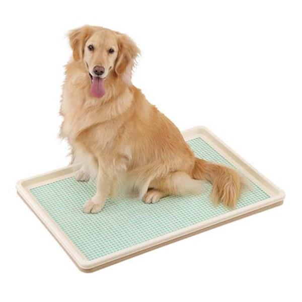 ボンビアルコン ボンビ しつけるトレー XLサイズ メッシュタイプ