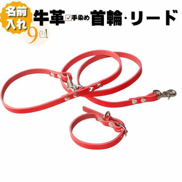 犬 革 首輪 リードセット 名前入り 本革 カラフル カフェリード リード