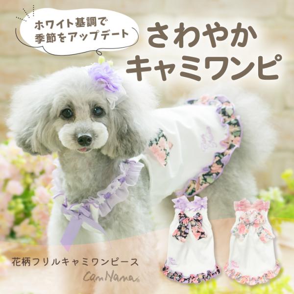 きゃんナナ犬服 グリーン ベルベットボリュームフリルベロアワンピース