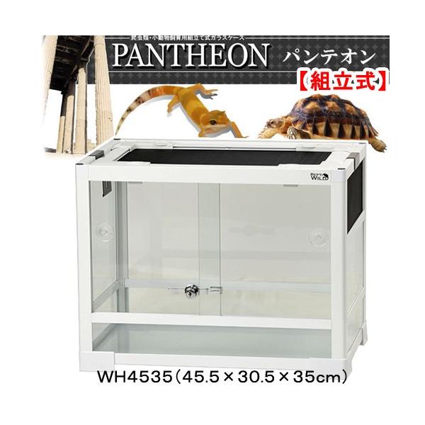 三晃商会 爬虫類ケージ パンテオン ホワイト WH4535（45．5