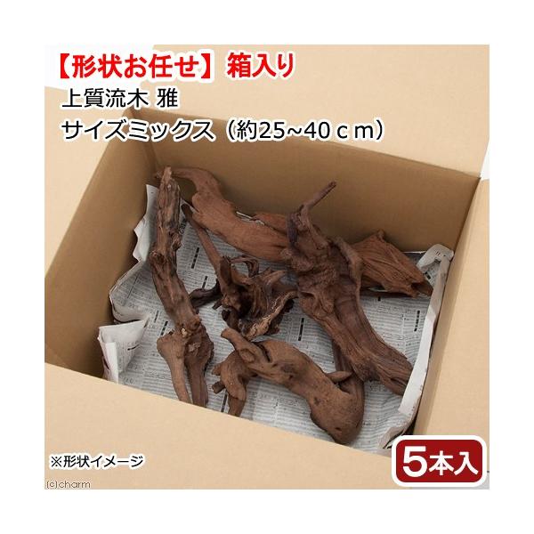 チャーム（charm） 形状お任せ 煮込み済み 上質流木 雅 サイズミックス