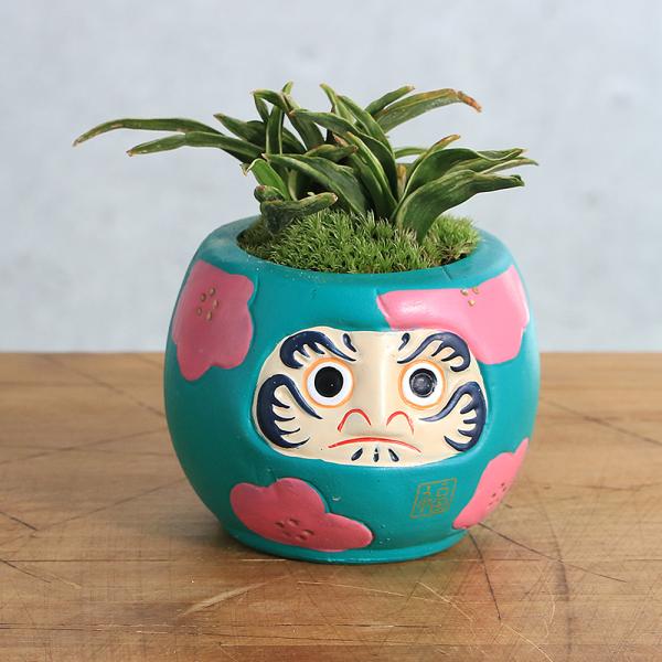 色絵龍盆 青磁鉢 山野草鉢 多肉植物 植木鉢 小品大品盆栽鉢 置物 色を
