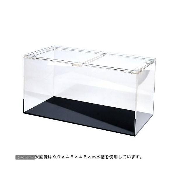アクリル水槽 120」の人気商品一覧 | 安い商品を通販サイトから探す