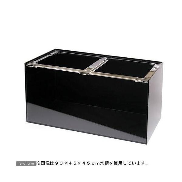 アクリル 水槽 1500」の人気商品一覧 | 安い商品を通販サイトから探す