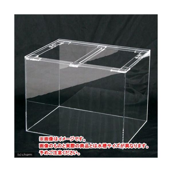 アクリル 水槽 90cm」の人気商品一覧 | 安い商品を通販サイトから探す