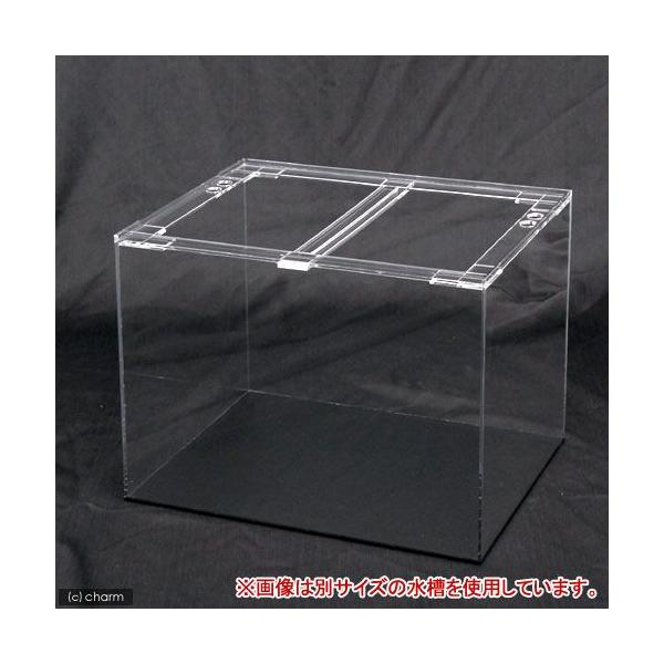 アクリル 水槽 120」の人気商品一覧 | 安い商品を通販サイトから探す