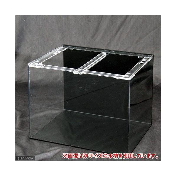 アクリル水槽 120」の人気商品一覧 | 安い商品を通販サイトから探す