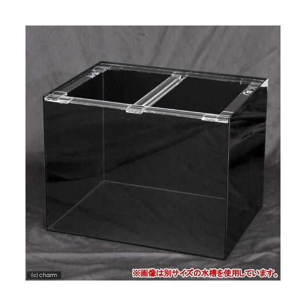 アクリル 水槽 90cm」の人気商品一覧 | 安い商品を通販サイトから探す