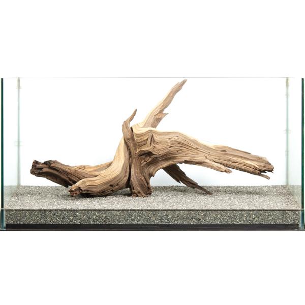 一点物 ゴーストウッド 大型水槽用 880044 : チャーム charm