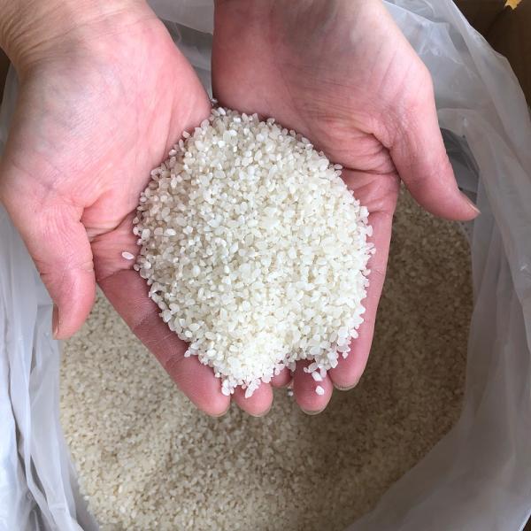 鳥の餌 鳥のエサ 砕米 10kg 送料無料 : あおき商店 - 通販 - Yahoo