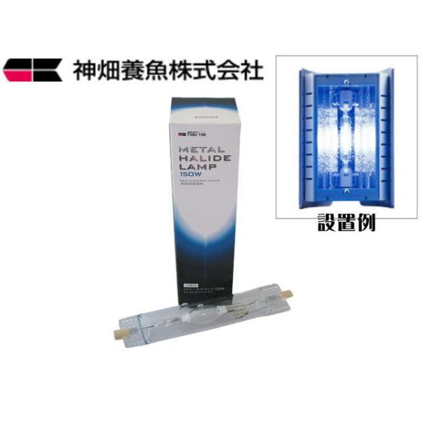 カミハタ ファンネル2 8000K グリーン球 中古品 Yahoo!オークション