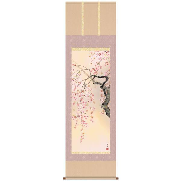掛け軸 掛軸 桜 森山観月・桜花爛漫 尺五 花鳥画 春 桐箱 風鎮付き