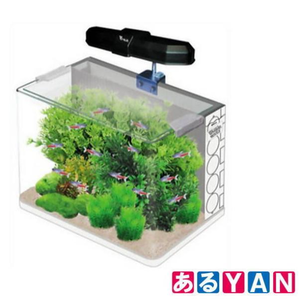 GEX 60cm曲げガラス水槽セット