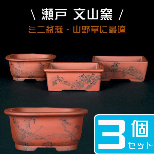 駿河山正作 紫砂 朱泥 猪刻 小さな植木鉢 盆栽鉢 V R8834 駿河山正作