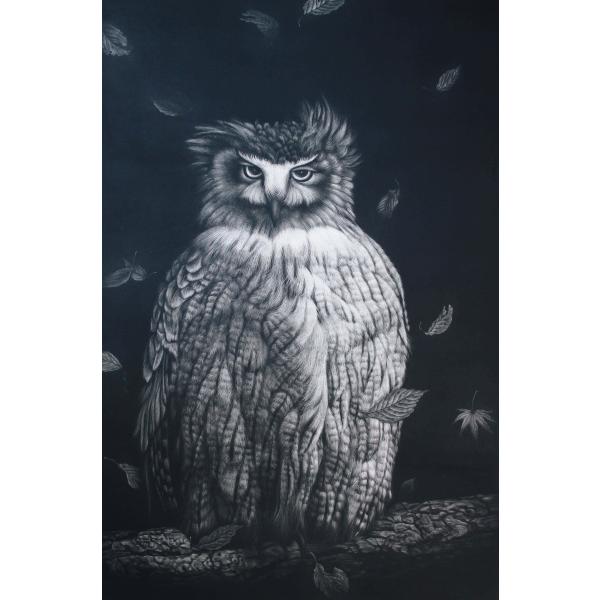 サイン入り 生田宏司 ギャラクシーカムイ フクロウ 銅版画 メゾチント