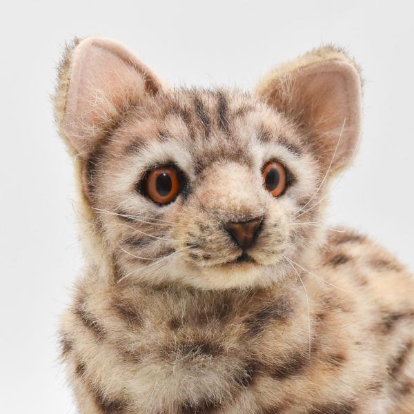 HANSA BH7844 ベンガルヤマネコ べんがるやまねこ ネコ 猫 ぬいぐるみ