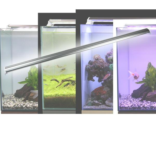 ゼンスイ LEDランプ 150cm 水槽用 照明 ライト 水槽用照明 LEDライト
