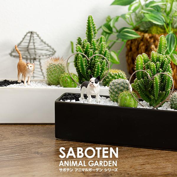 サボテン 寄せ植え トゲなし ハートタイプ 選べる動物フィギュア付