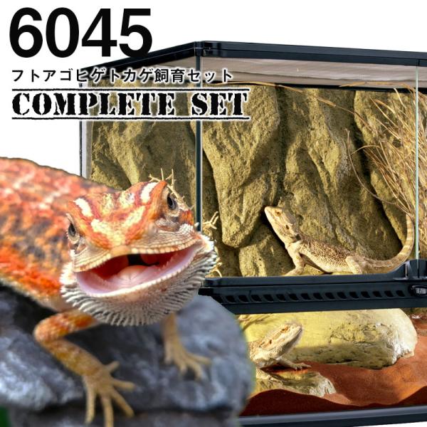 GEX（ジェックス） 【水槽セット】6045 フトアゴヒゲトカゲ飼育セット
