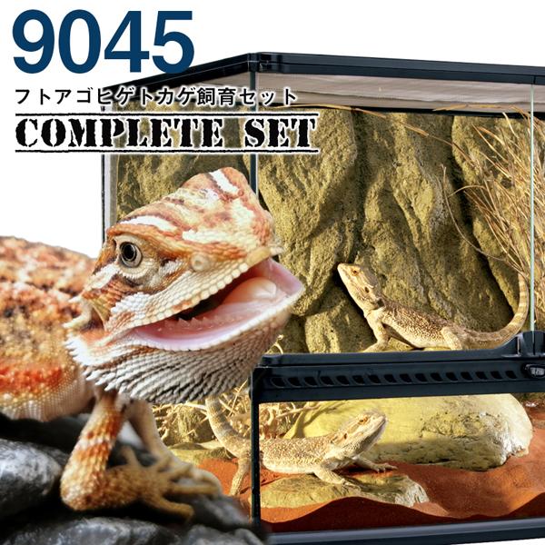 GEX（ジェックス） 【水槽セット】9045 フトアゴヒゲトカゲ飼育セット