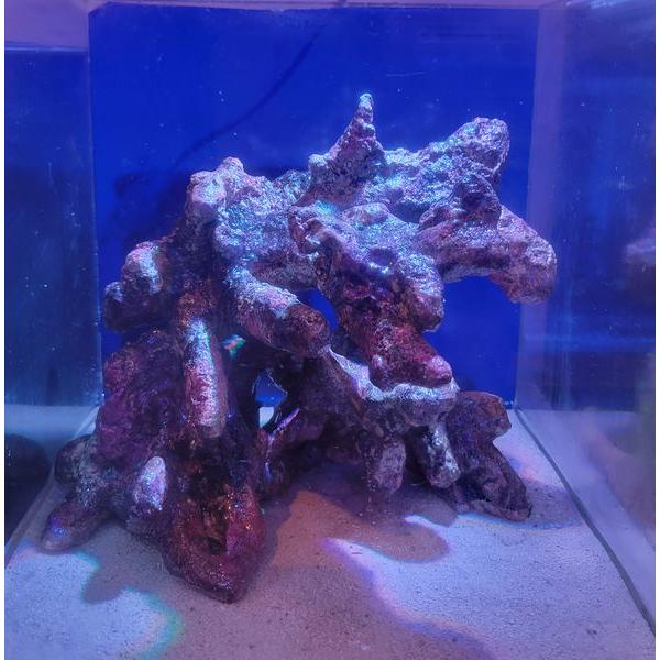 ATS ライブロックレイアウト販売 レプリカライブロック : G3 AQUA LAB