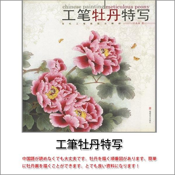 入手困難】美術品 絵画 中国 工筆画 入手困難】美術品 絵画 中国 工筆