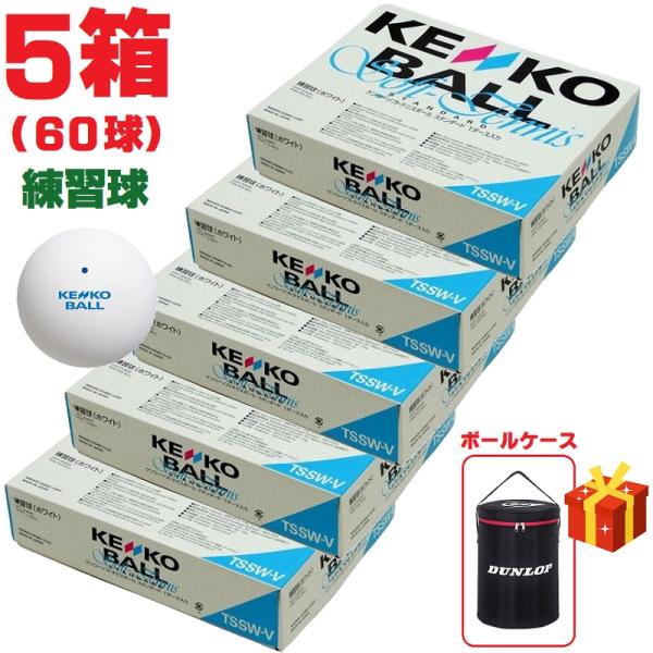 ソフトテニスボール 60球 中古 公認球 状態良し ソフトテニスボール 60