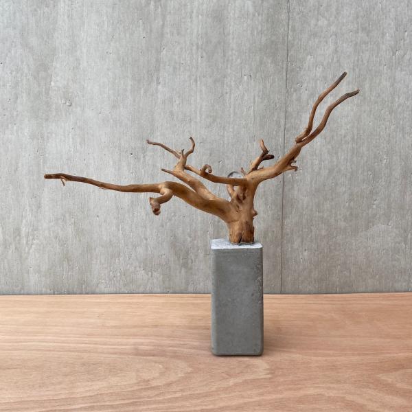 kimikougei_2023-5-3-5