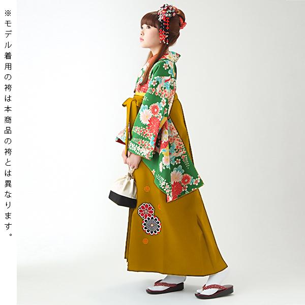 中古品)卒業式袴セット 「二尺袖：緑 菊と藤の花+袴：金茶×菊 刺繍