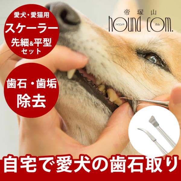 帝塚山ハウンドカム 犬 デンタル 愛犬 猫 用スケーラー 先細&平型