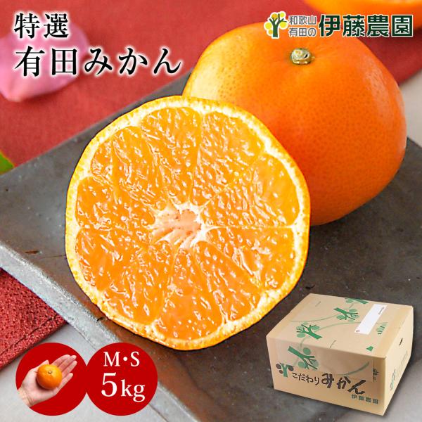 みかん様 リクエスト 2点 まとめ商品