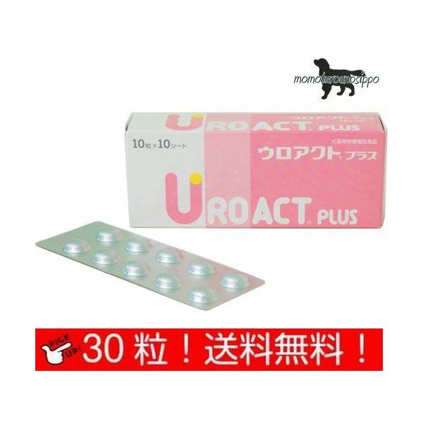 ウロアクト」の人気商品一覧 | 安い商品を通販サイトから探す - 価格.com