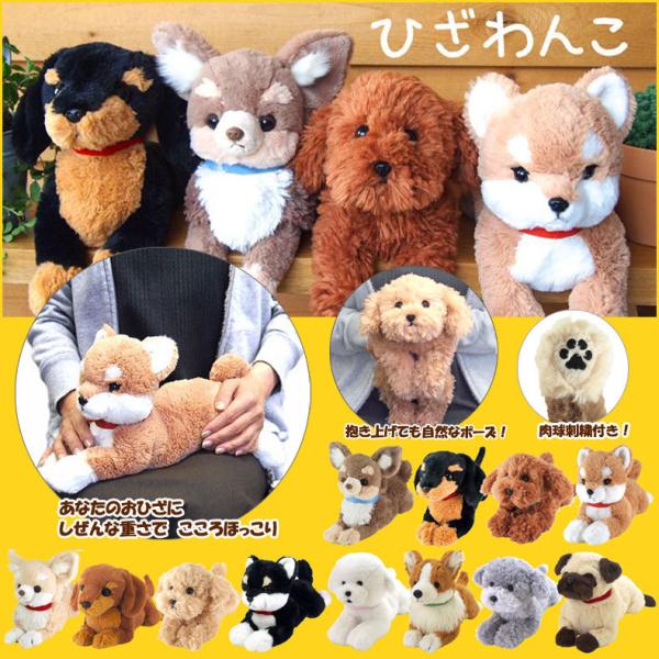 ひざわんこ Sサイズ ぬいぐるみ ひざワンコ いぬ 犬 おもちゃ 癒し